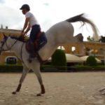 saletta SLB108 sport equitazione Sanremo